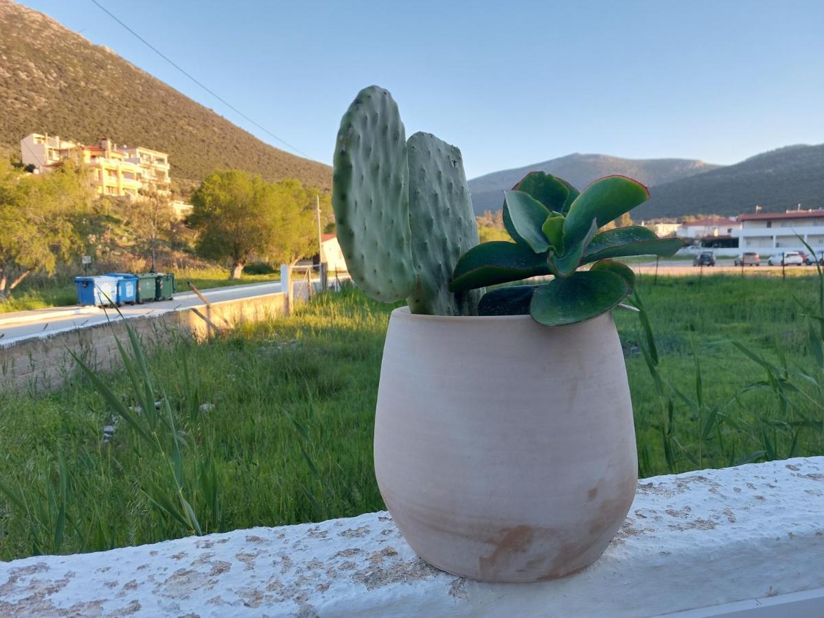 Vitamin Sea Apartment 4, Άνετο Διαμέρισμα. Almiropótamos Esterno foto